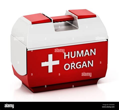 human organ transplant metal storage box|organ transportation technology.